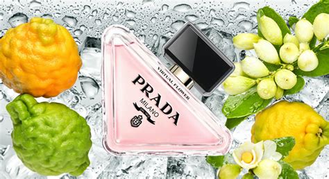 Prada Paradoxe Virtual Flower Pop